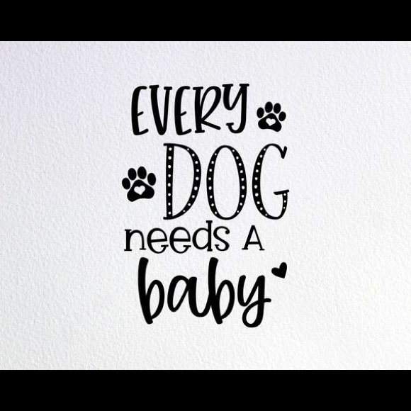 Meet your Posher, Elizabeth - Picture 3 of 12